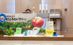 대전교구 2040 탄소 중립 선언