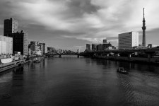 망각의 역사, 기억의 역사