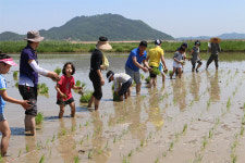중앙공원 2단계 조성안, 시민사회 균열 심화