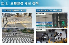 보행자 천국 행복도시, 보행환경 특화 추진