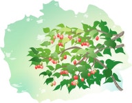 화창한 봄날, 이 얼마나 아름다운 세상인가!