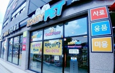 대전강아지분양 드림퍼피&쥬티펫, 홈브리딩을 통한 안전분양 가능