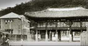 일제 쌀 수탈과 논산평야의 눈물