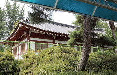 개교 100주년 부강초, 한 세기 역사를 돌아보다