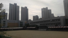 세종시 과대학교 문제, 내년부터 달라질까?