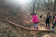 행복도시 1호 파랑새 유아숲체험원, 내년 3월 본격 가동