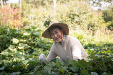 세종시, 도농상생 멘토 도시농업전문가 양성