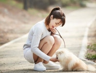 반려동물 산책의 이점과 주의사항