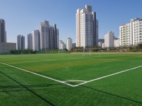 2018 러시아 월드컵 세종시민 응원전, 어디로 갈까?