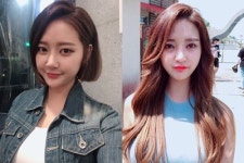 붙임머리 전문 미용실 헤어캐슬 24시, 전 지점 1:1맞춤 스킬땋기 등 60% 할인
