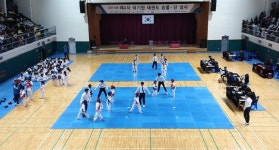 세종시 태권도협회 내홍 장기화, 멍드는 동심