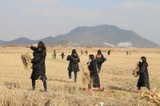 세종시 중앙공원 생태 VS 이용 가치 충돌, 그 끝은?