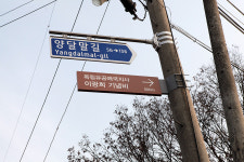 세종시 첫 만세운동, 25세 청년 이광희도 있었다