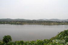 [르포] 저질토·녹조로 얼룩진 100m 미인 금강의 추악한 민낯을 마주하다