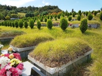 현대산업개발·오리온·태광그룹 등 대기업 일가, 가족 묘지 불법 조성 후 버티기로 일관
