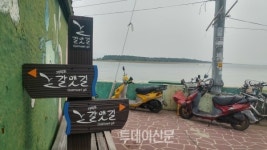 부산, 어디까지 가봤니?