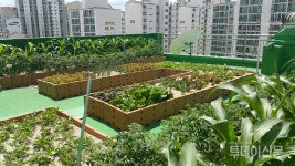 서울시, 은평의 마을에 1호 케어팜 설치…노숙인 치유‧자립 동시에