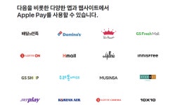애플페이 직접 써보니…빠른 결제 편하지만 범용성 숙제