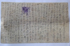 [OLDs③] 제주의 붉은 동백은 그날과 닮았다