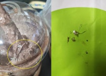 씨앤보코지점주 | '플라스틱 스무디' 먹고 유산 피해… 카페코지 "판매 점주 법적 대응 고려"