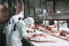 [누가 고기를 만드나⑤] 돼지고기가 밥상에 오르기까지…유통 어떻게 진행되나