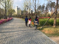 공원 곳곳에 방치된 반려동물 배설물에 산책객들 기겁