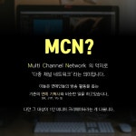 유튜버, 1인 크리에이터에게도 소속사가 있다...최근 뜨는 MCN이란 무엇?