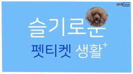 슬기로운 펫티켓 생활