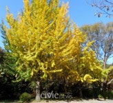 [장원호 박사의 그리운 대한민국] 한국의 명산 덕유산과 무주 구천동 33경을 찾아 인생을 반추하다