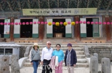[장원호 박사의 그리운 대한민국] 전북 고창의 고인돌박물관, 청보리밭, 그리고 선운사에서 동학운동을 생각하다