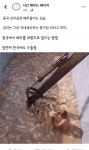알몸으로 흙탕물 탱크 안에서 배추 절이는 중국 김치 공장 위생상태 충격