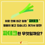 [카드뉴스] 전년 대비 3배 오른 공포의 파 값...직접 키우는 파테크 등장