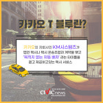 [카드뉴스] 카카오T블루 가입 개인택시 기사 모두 제명?...카카오T블루가 도대체 뭐길래