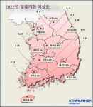 2022년 벚꽃 개화시기 평년보다 5~7일 빨라져...제주 3월16일 개화해 차츰 북상