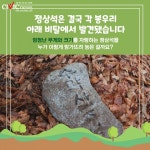 정상석의 미스터리를 찾아서... 누가 내 정상석을 옮겼을까?