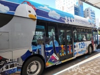 부산 마린버스 타보셨나요? 탑승 시민에 우연한 힐링 안겨줘