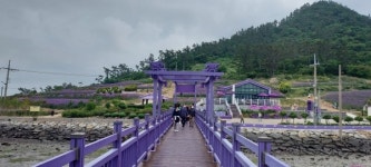 [송문석 칼럼] 무인도 될 뻔한 섬이 세계 최우수 관광마을로 바뀐 퍼플섬의 비밀