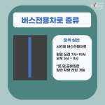 버스전용차로 제대로 알고 계시나요?