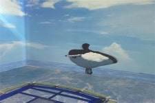 자유롭게 들락날락거려요...어린이복합문화공간 바다 dream 작은 도서관 들락날락