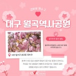 벚꽃은 지고 겹벚꽃이 핀다....겹벚꽃 명소 5곳 추천