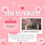 벚꽃은 지고 겹벚꽃이 핀다....겹벚꽃 명소 5곳 추천