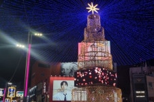 부산 남포동은 벌써 크리스마스 분위기로 북적... 2월 2일까지 겨울빛 트리축제 개최