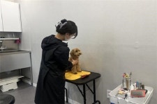 반려동물과 함께 즐기는 복합문화공간... 반려동물에 관한 것이라면 없는 것 빼고 다 있는 펫스테이션