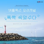 넷플릭스 시리즈 폭싹 속았수다...전 세계 시청자 울렸다