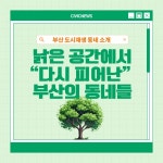 낡은 공간에서 다시 피어난 부산의 동네들...감천문화마을 흰여울문화마을 영도깡깡이예술마을 F1963
