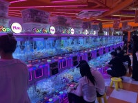 인형 뽑기방이 갑자기 왜 이렇게 많아졌을까?... 눈에 띄게 늘어난 그 이유는