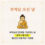 석가탄신일? 초파일? 부처님 오신 날?