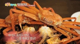 생방송오늘저녁 홍게 해물 찜닭-우렁이 추어탕 이색 보양식 열전 & 깻잎 아이스크림-갈색 거저리 유충으로 만든 곤충 쿠키 & 쉐이크 의외의... 