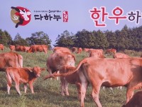 영월 다하누촌 중앙광장, 6월 한정 한우 할인 이벤트