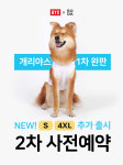 BYC, 반려견 쿨런닝 개리야스 재입고